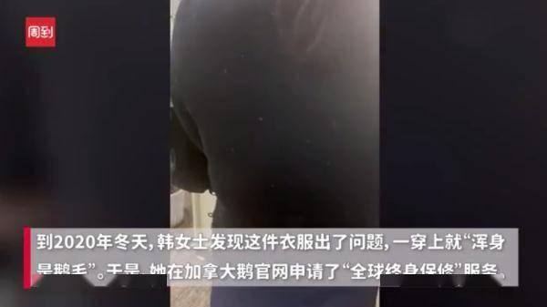 羽绒服一脱一身毛！动辄上万的加拿大鹅翻车？号称终身保修却不受理！