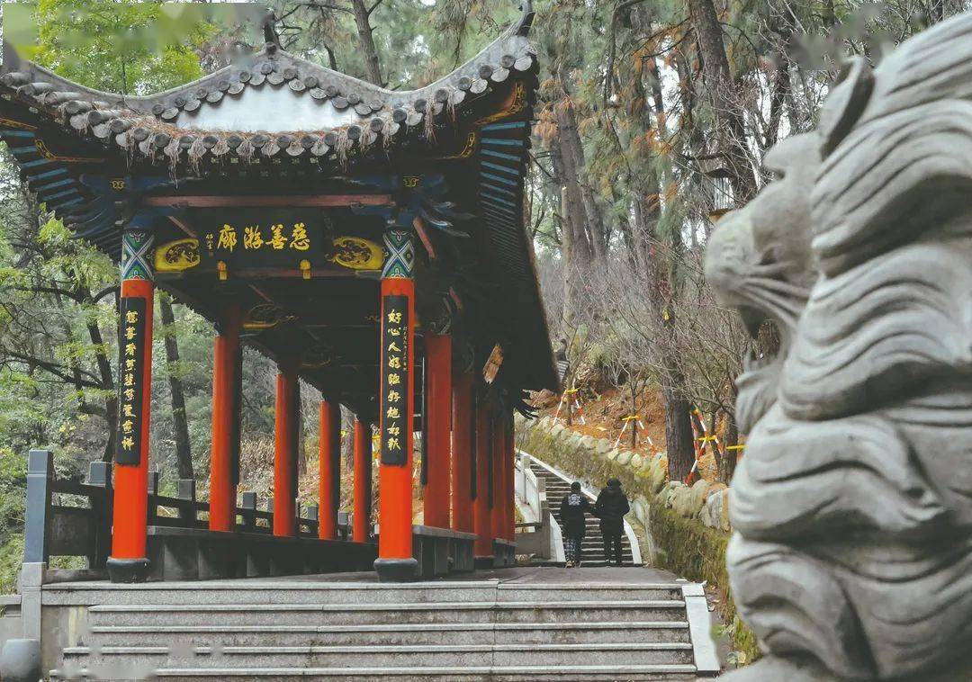 走,去金乡狮山公园!