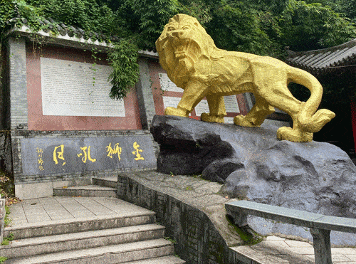 走,去金乡狮山公园!