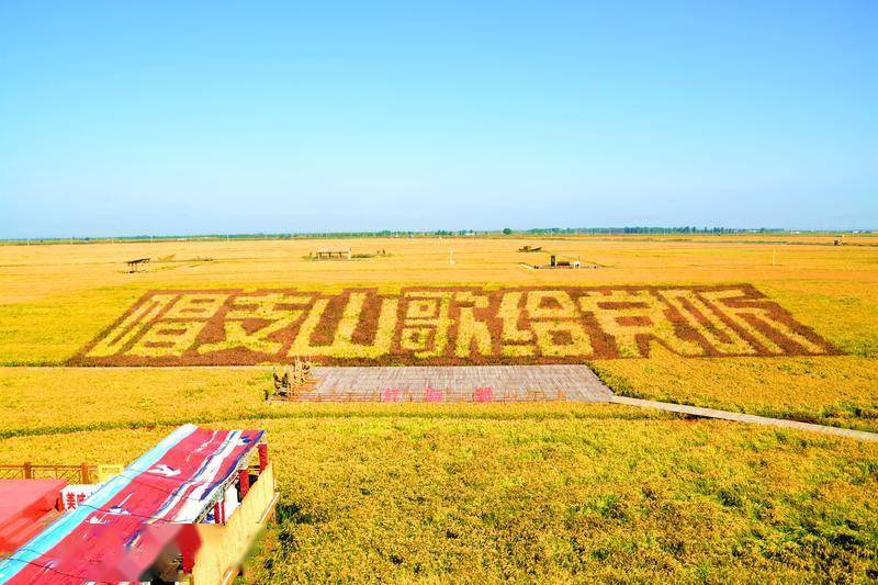 风景|去一个叫：辽宁盘锦的地方