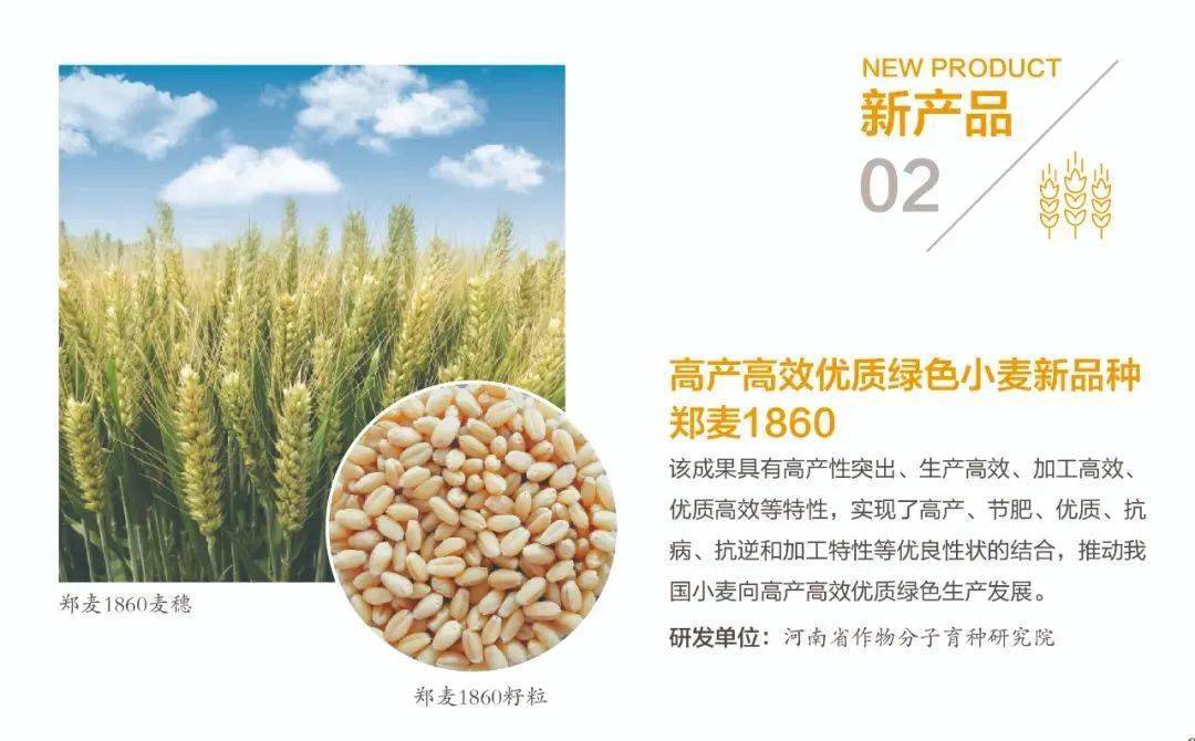 新产品02:高产高效优质绿色小麦新品种郑麦1860