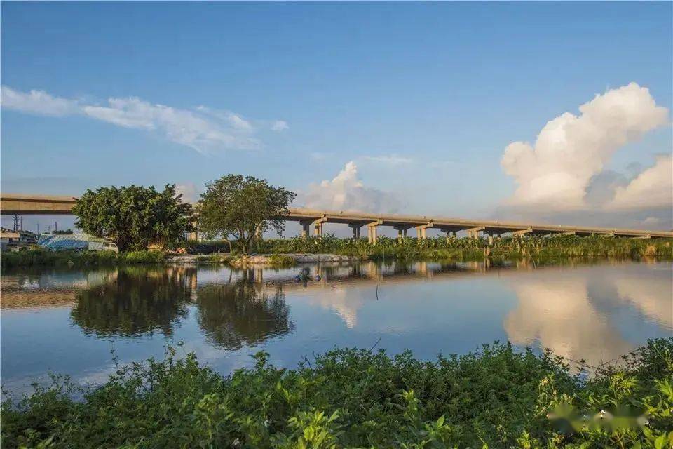 大涌镇未来五年发展蓝图来了