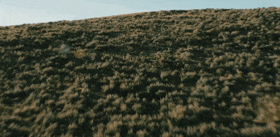 大儿子|一集飚上 9.9，剧王回归太硬核！