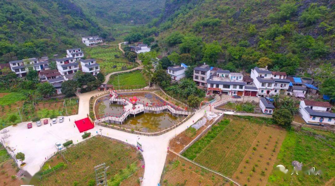 图为六也木棉山庄 韦荣劲 摄另外,该县还以发展"一村一品"为重点的