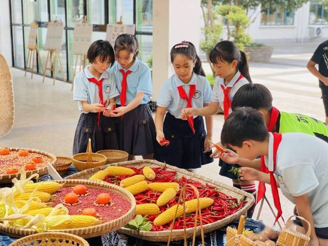 服务|浙江金华苏孟小学：课后服务“晒”出收获的喜悦