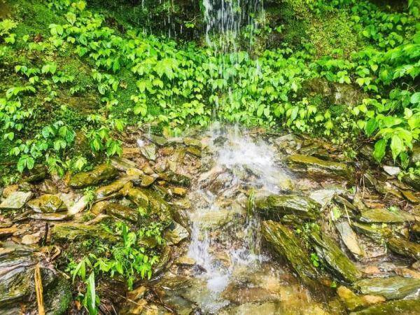 云雾|山在观山色，雨来听雨声