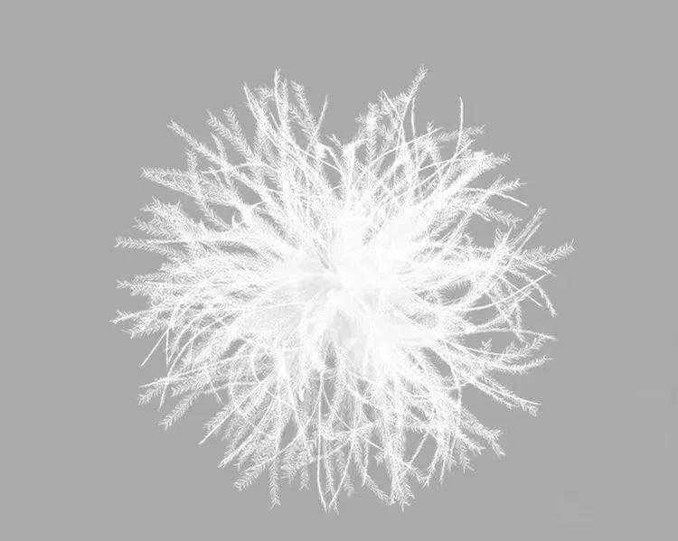 Moncler羽绒服怎么选？看完你就懂了！