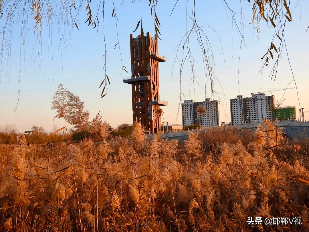 曲周莲花湖公园简介图片