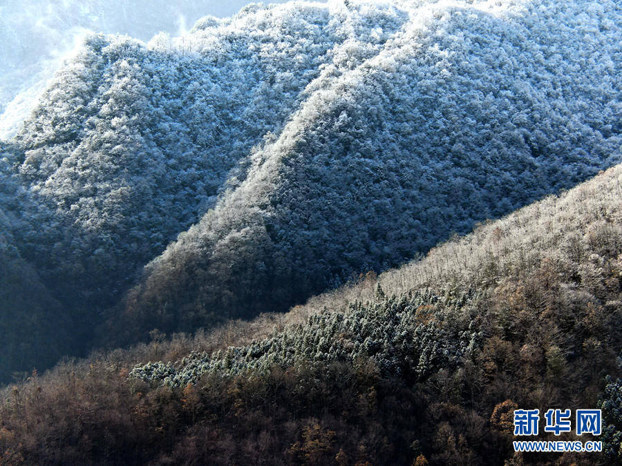 十堰|湖北十堰：雪后十八里长峡 半山皑皑半山红