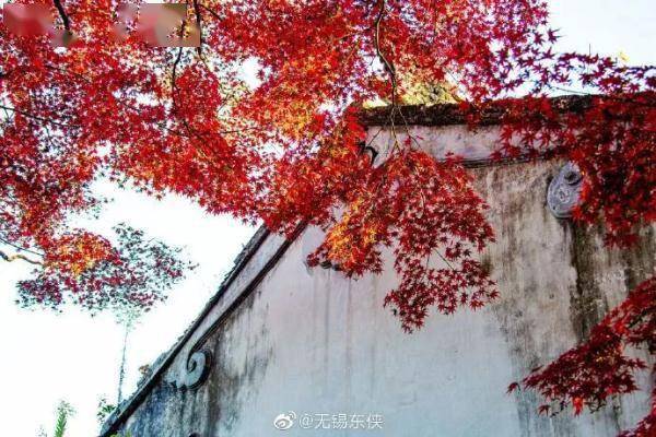 小雨|叮咚！雨水即将到货，冷空气也在路上了！