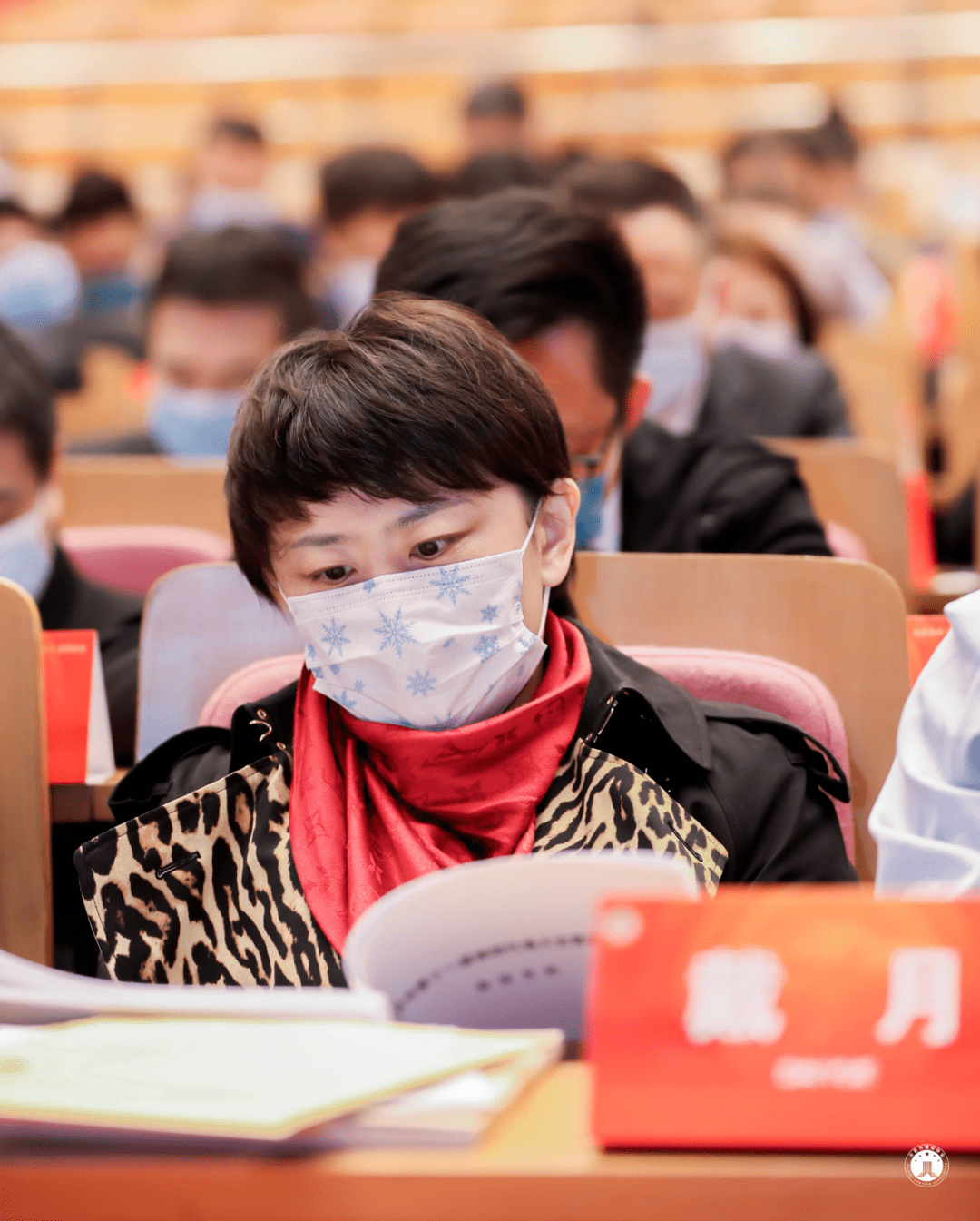 最美法律服务人 | 戴月:绽放在涉外法律服务中的铿锵玫瑰