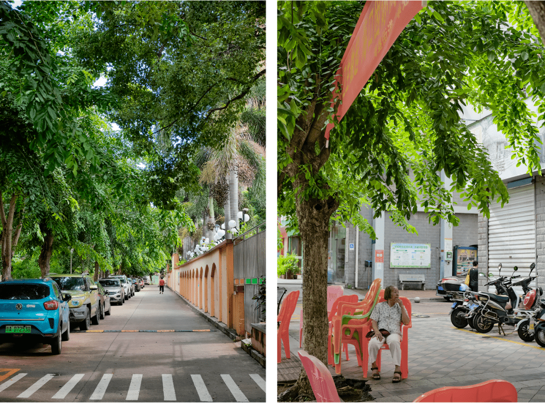 "从谈恋爱到结婚,再见了,华侨新村!"_生活_海口_别墅区
