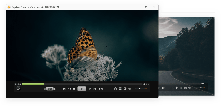 那些年，我们用过最好的视频播放器