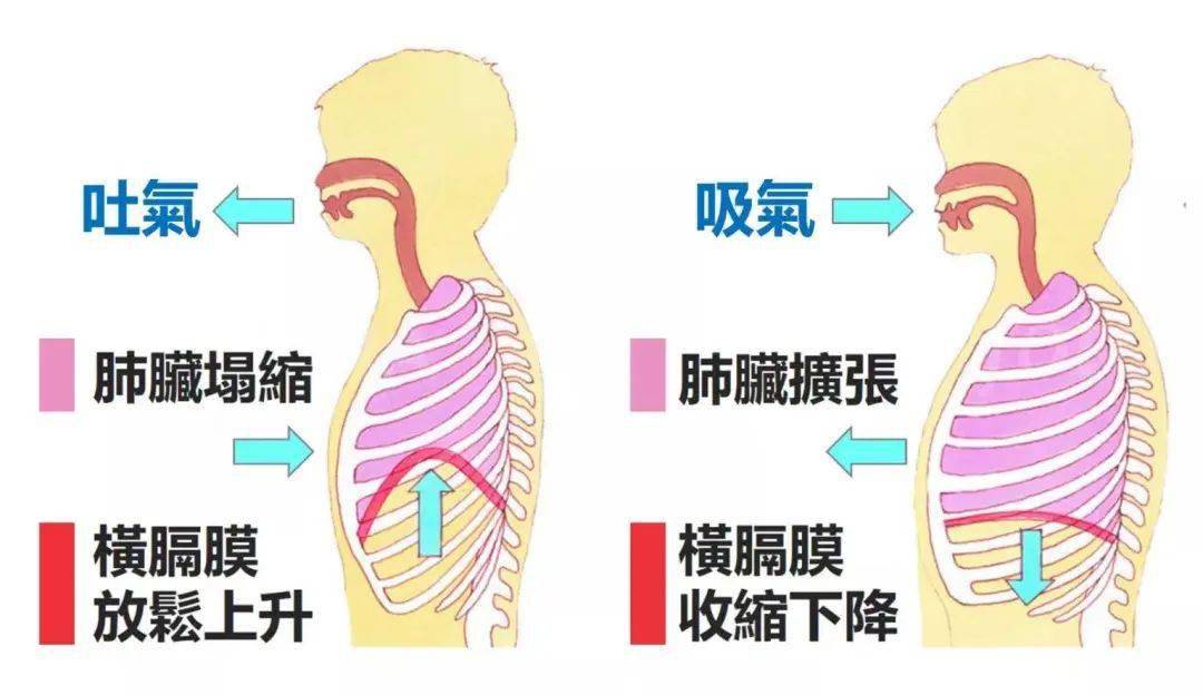 网友许玮甯穿衣真大胆 ! 胸前只挂两条布就出来, 网友:难怪能和阮经天相恋八年