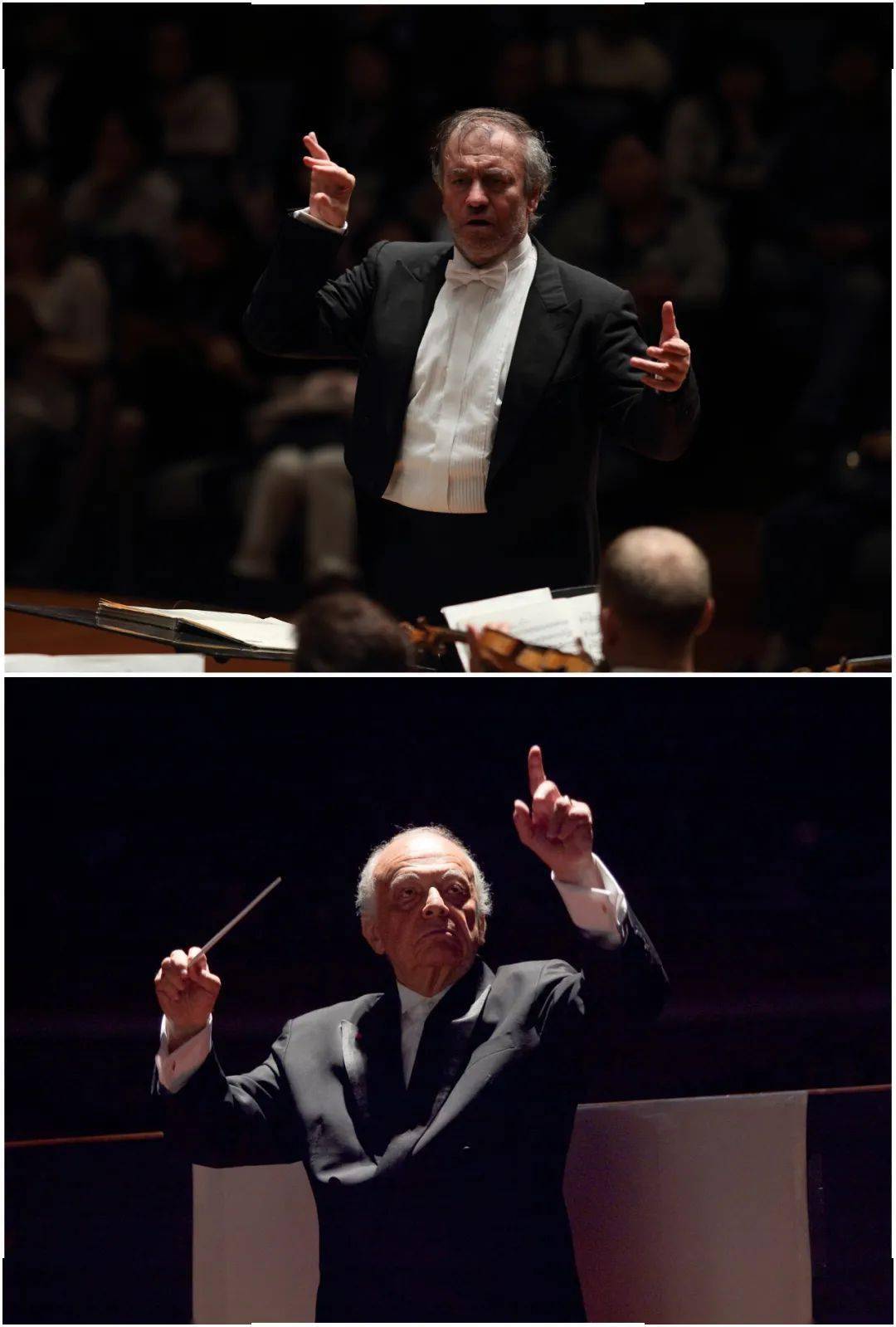 他们让交响乐艺术更加熠熠生辉今晚1930世界指挥大师在中国特别节目