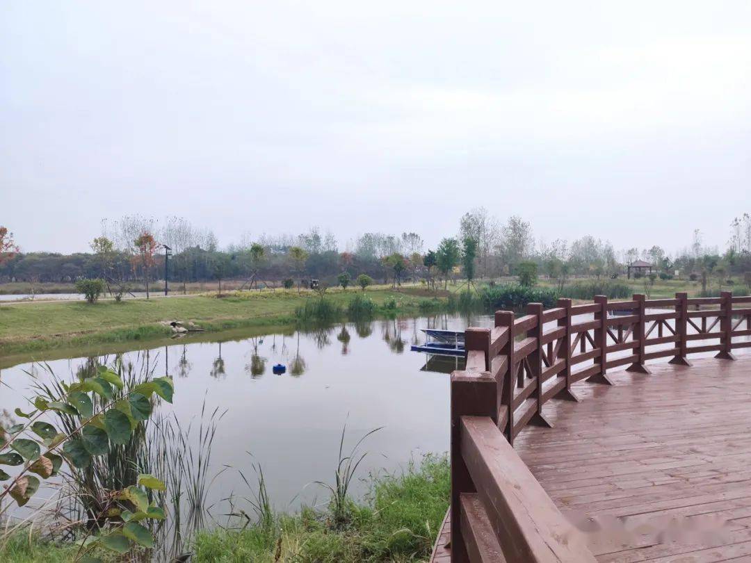 罗山县子路镇巩固人居环境整治成果提升群众幸福感_道路_垃圾_河道