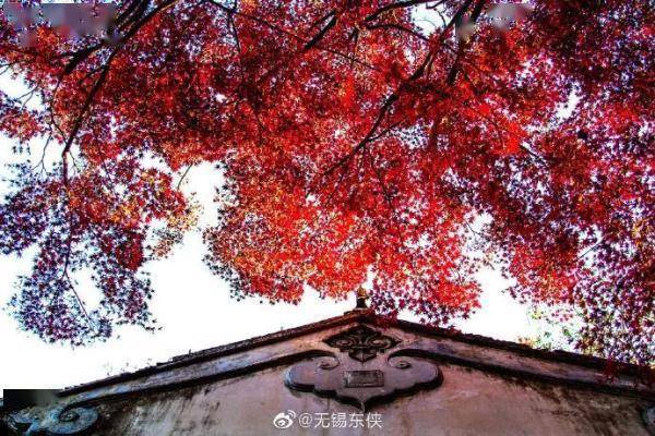 小雨|叮咚！雨水即将到货，冷空气也在路上了！