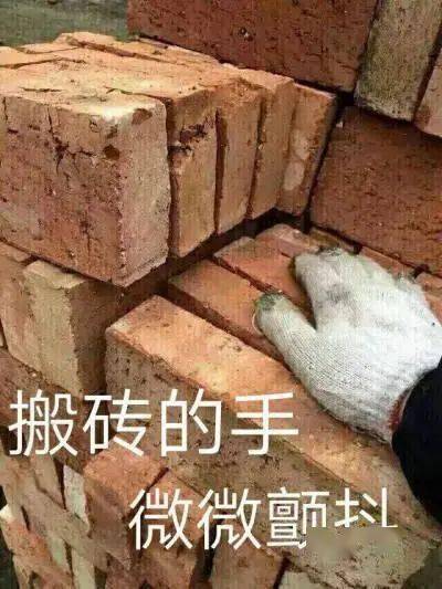f4812360cde046e48de2c75e28a4cb91.jpeg
