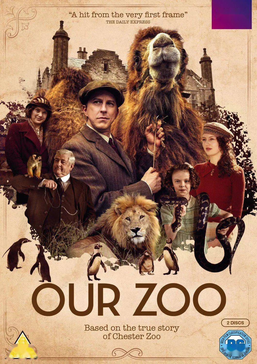 巴顿|出门被寒冷劝退？热腾腾的豆瓣9分+好剧奉上 | TO推荐