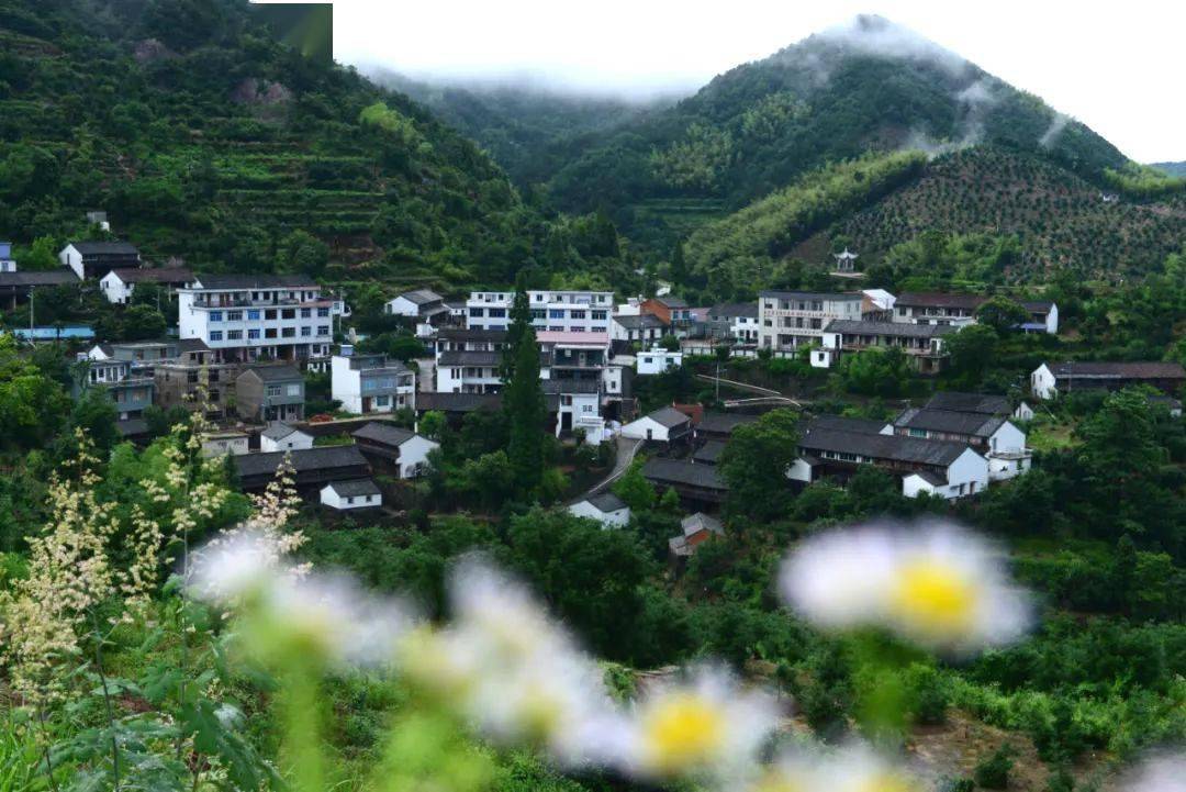 浙江乡村振兴模式为我们提供哪些借鉴