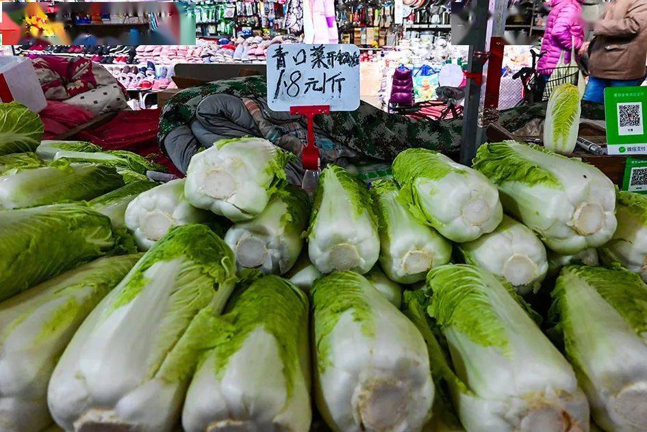 看看都有啥?_蔬菜_小白菜_萝卜