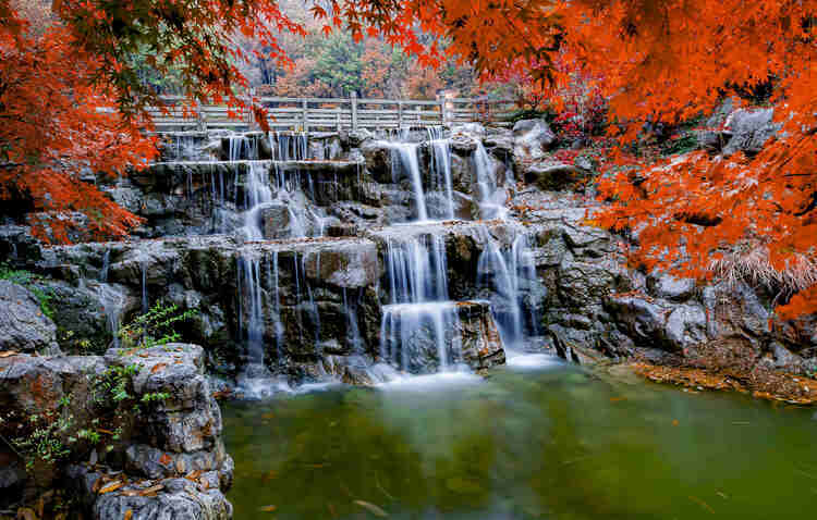 季节|连云港灌云大伊山：又是一年枫正红