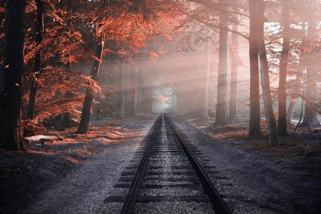 章大伟|典藏 | 九号车厢