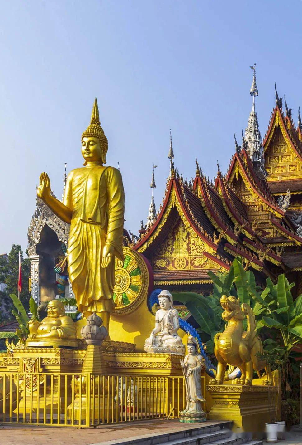 【全国招募】探秘西双版纳热带风情摄影团