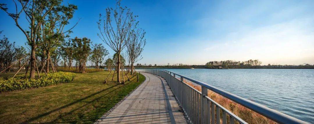 关注丨涉及虹桥前湾杜行老街郊野公园滨江岸线未来闵行城市生态空间是