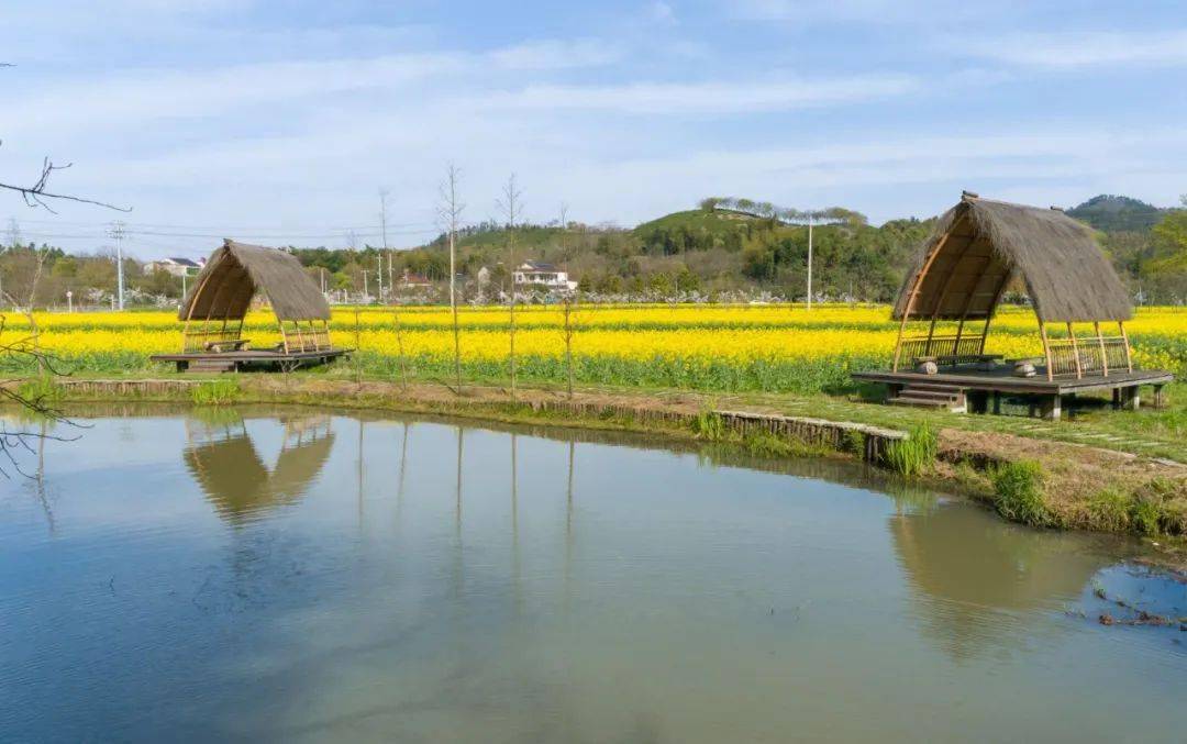 别桥镇:勇担新使命 扬帆再起航 坚定迈向绿色现代化发展的新征程_建设