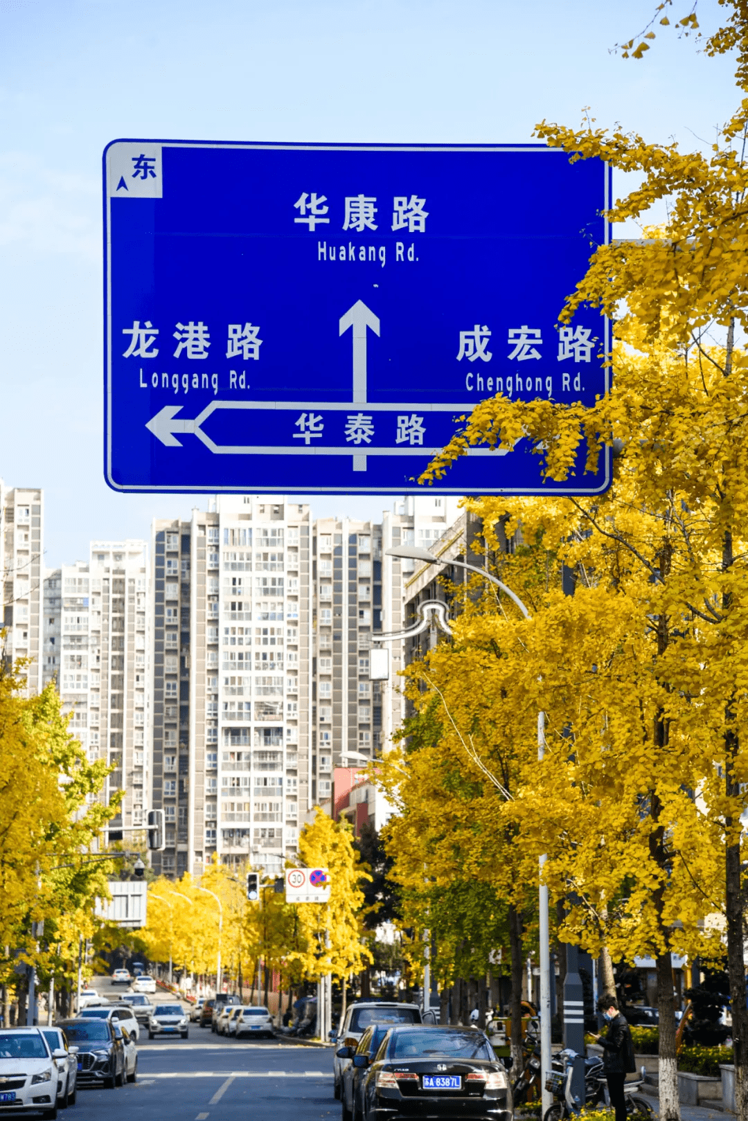 成华大道路标图片