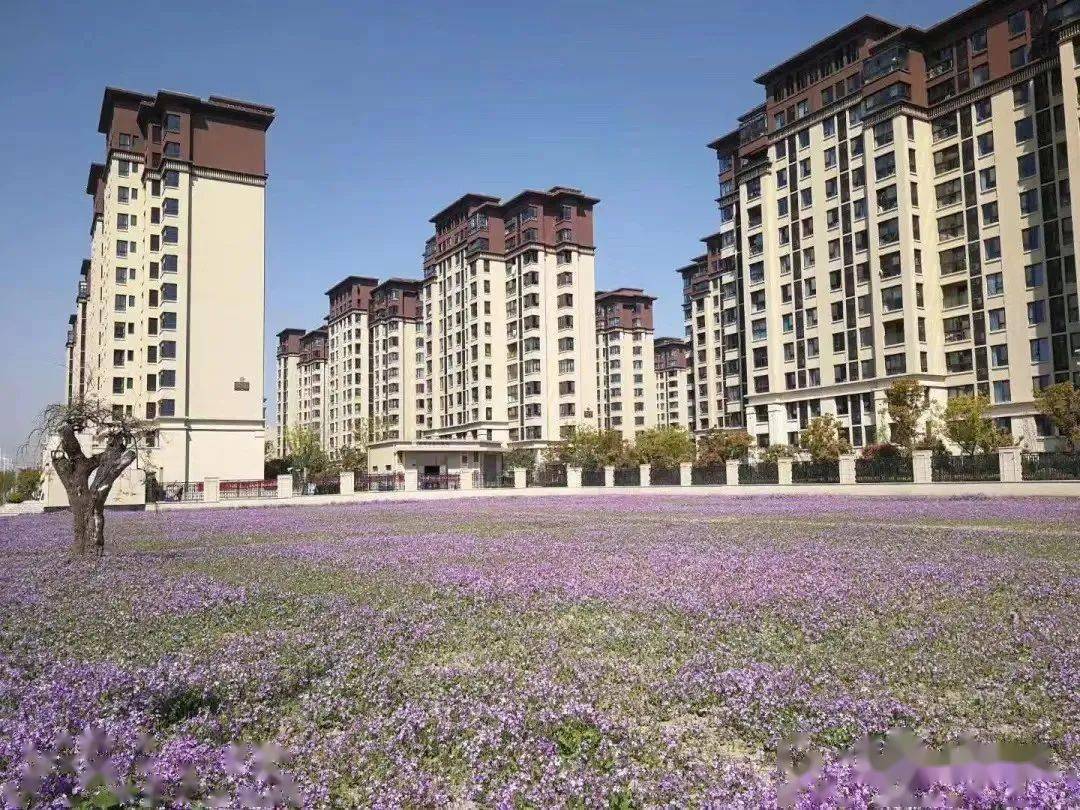 深化四位一体住房保障体系让居者有其屋