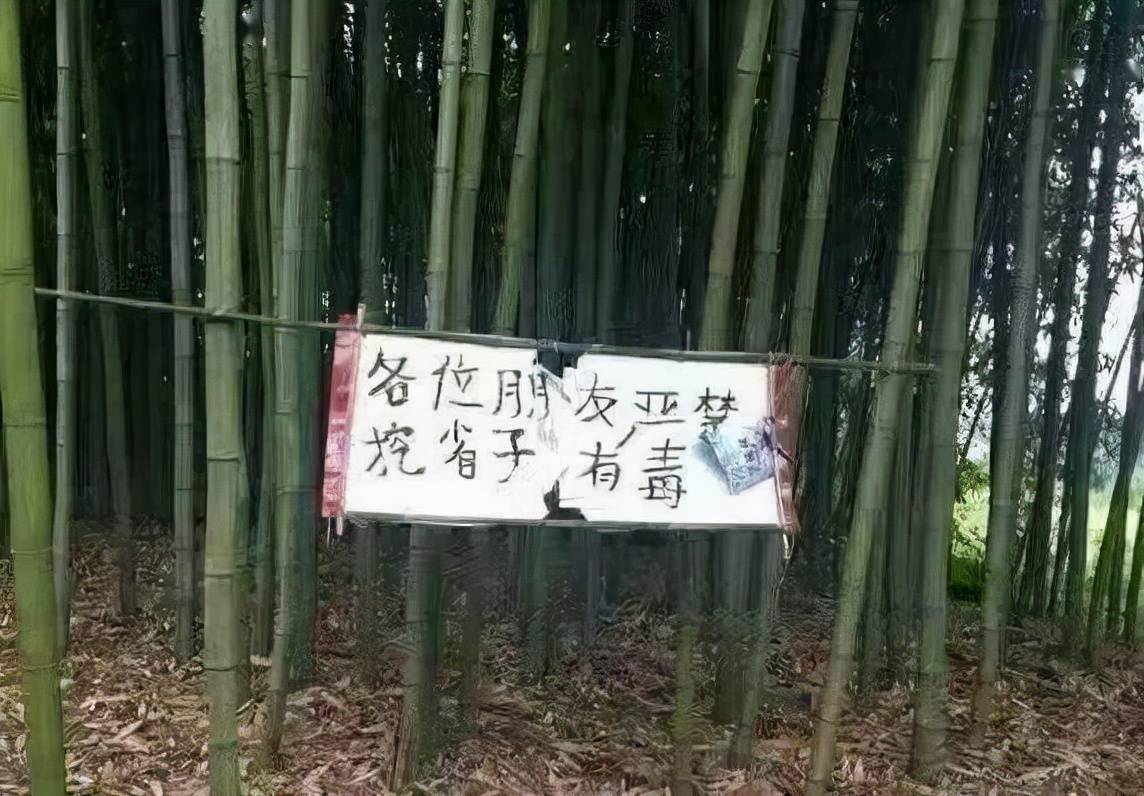 声声慢四川话完整 dab2df4384654ee584aee15030597299.jpeg