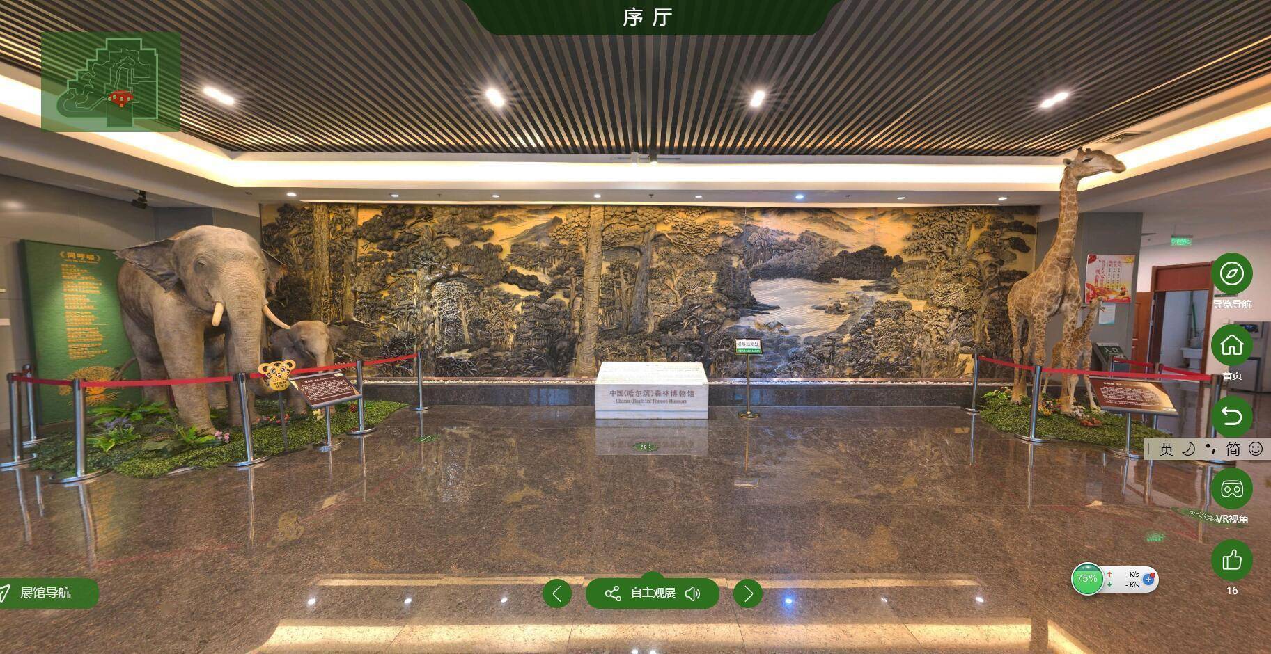 足不出户“云”参观，这家森林博物馆够“炫”