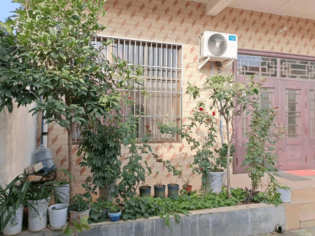 叶 县仙台镇西马庄村王秋香庭 院