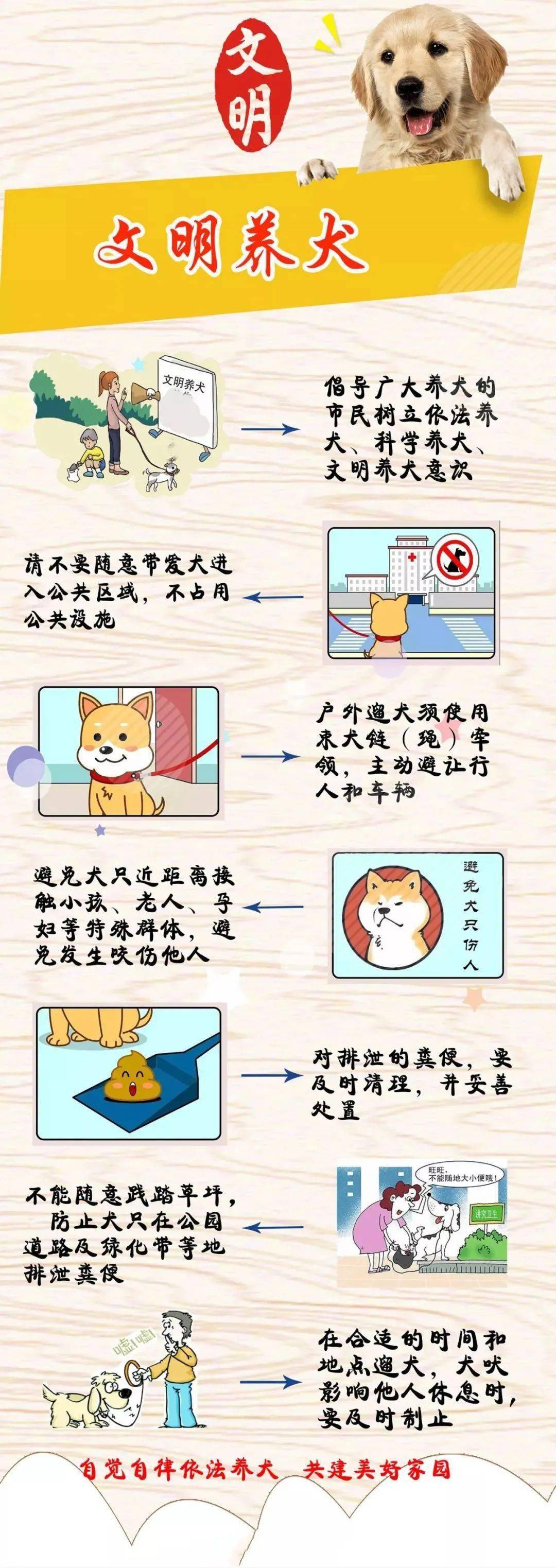 文明养犬,请别掉"链"_规定_处罚_管理