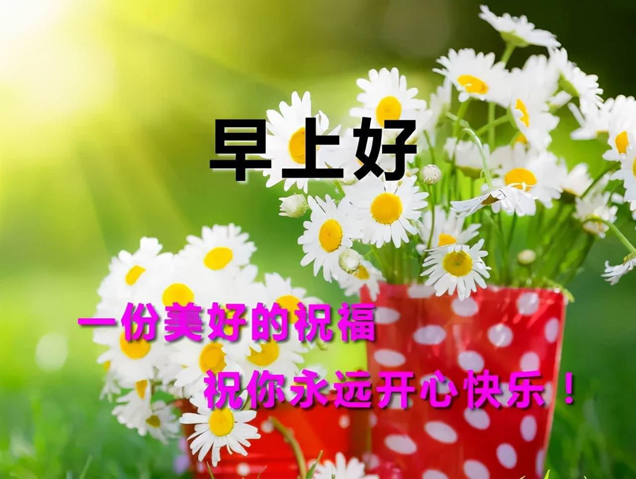 早安吉祥:祝福朋友,願你人生路上平安,快樂,健康,順暢,早安_問候_短信