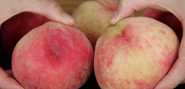 桃子怎么画才像 22bbd371711348d8a8dacbd767a2a66f.jpeg