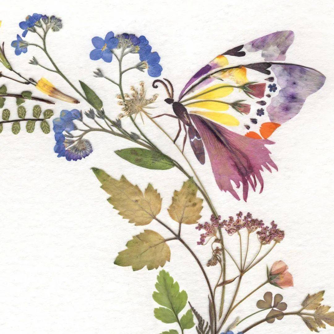 唯美到极致英国美女艺术家用花草树叶压花制作插画每一幅都好治愈