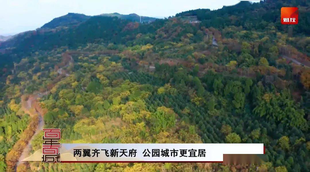 雪山下的公園城市令人嚮往～_新發展_龍泉山_蒲江縣