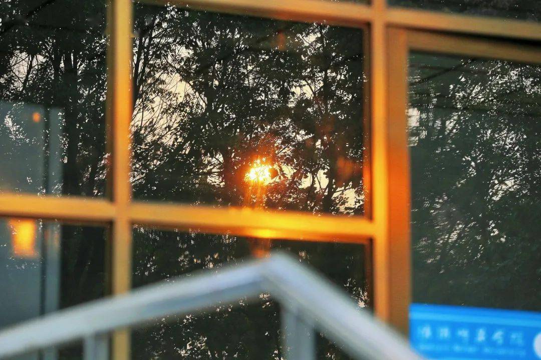 窗外的警示，解读梦见一条大蛇挂在窗户的深层含义