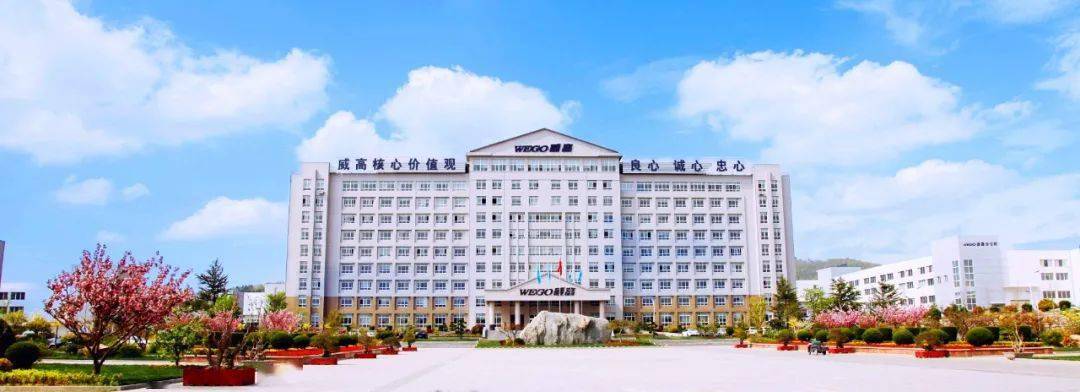 创建于1988年的威高集团,坐落在威海高新区,是我国最大的无源(不需要