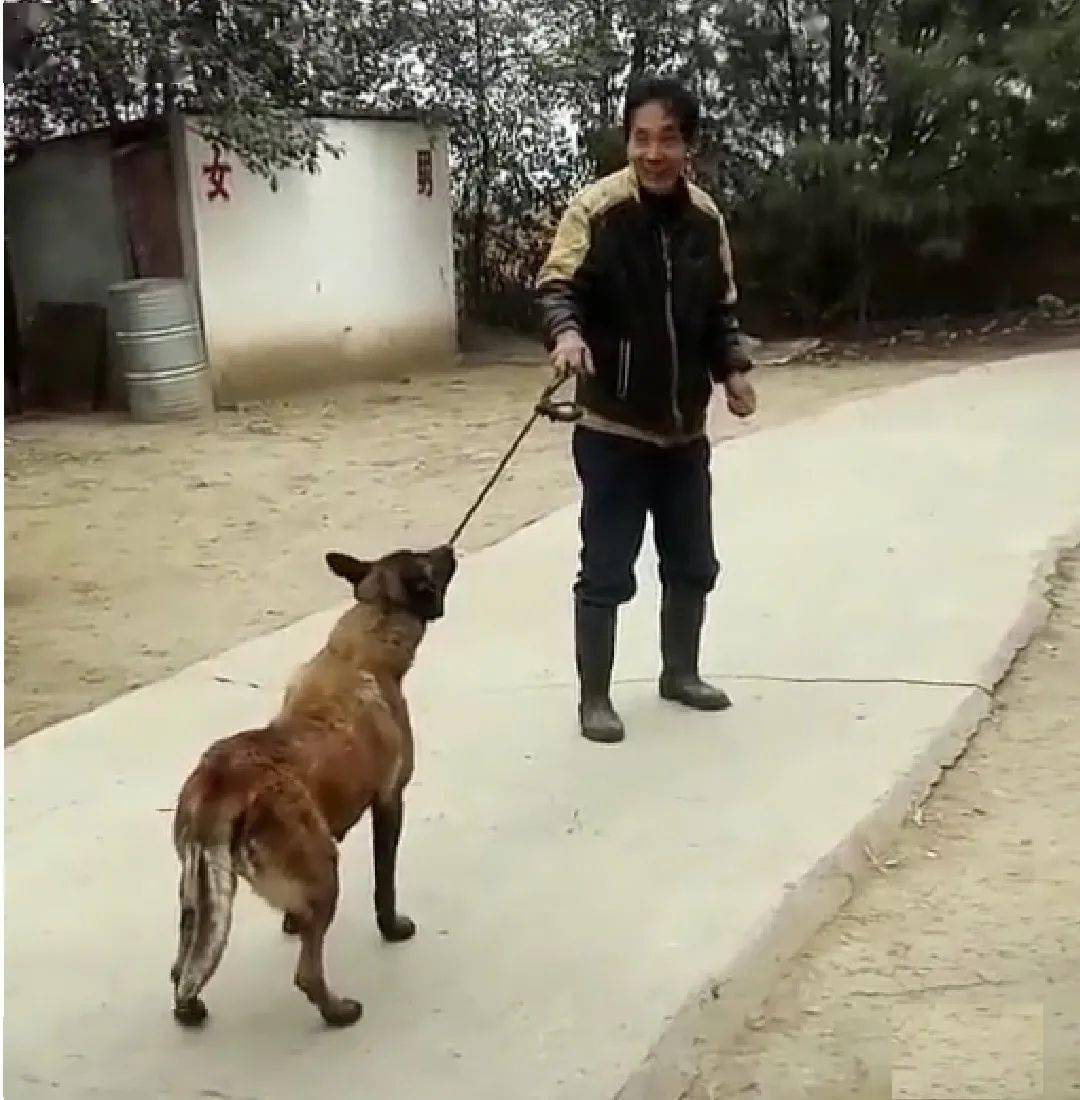 拽着绳子使劲儿往后拉.