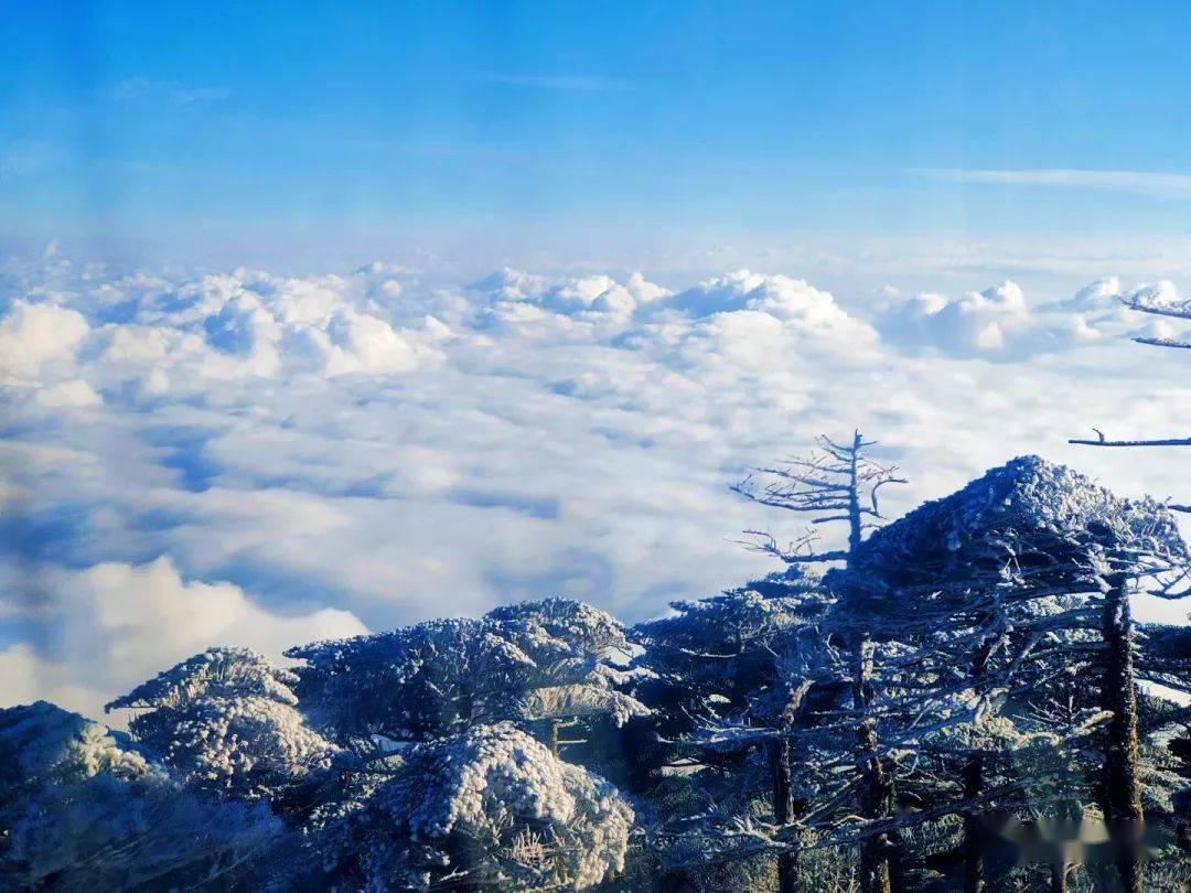 视频图苍山云海这个冬天你一定要来看一次