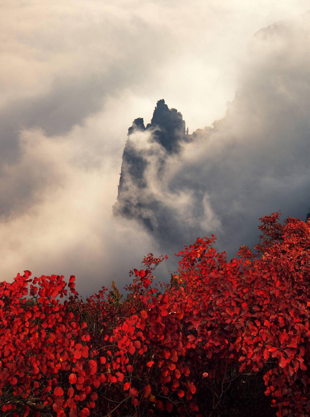 神女|巫山红叶迎最佳观赏季 速来领略巫峡“六绝”