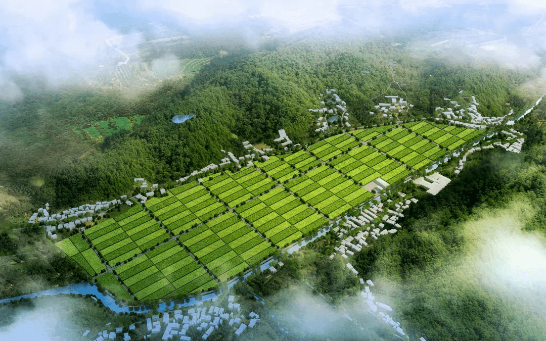 推进示范区建设,打造数字化农田