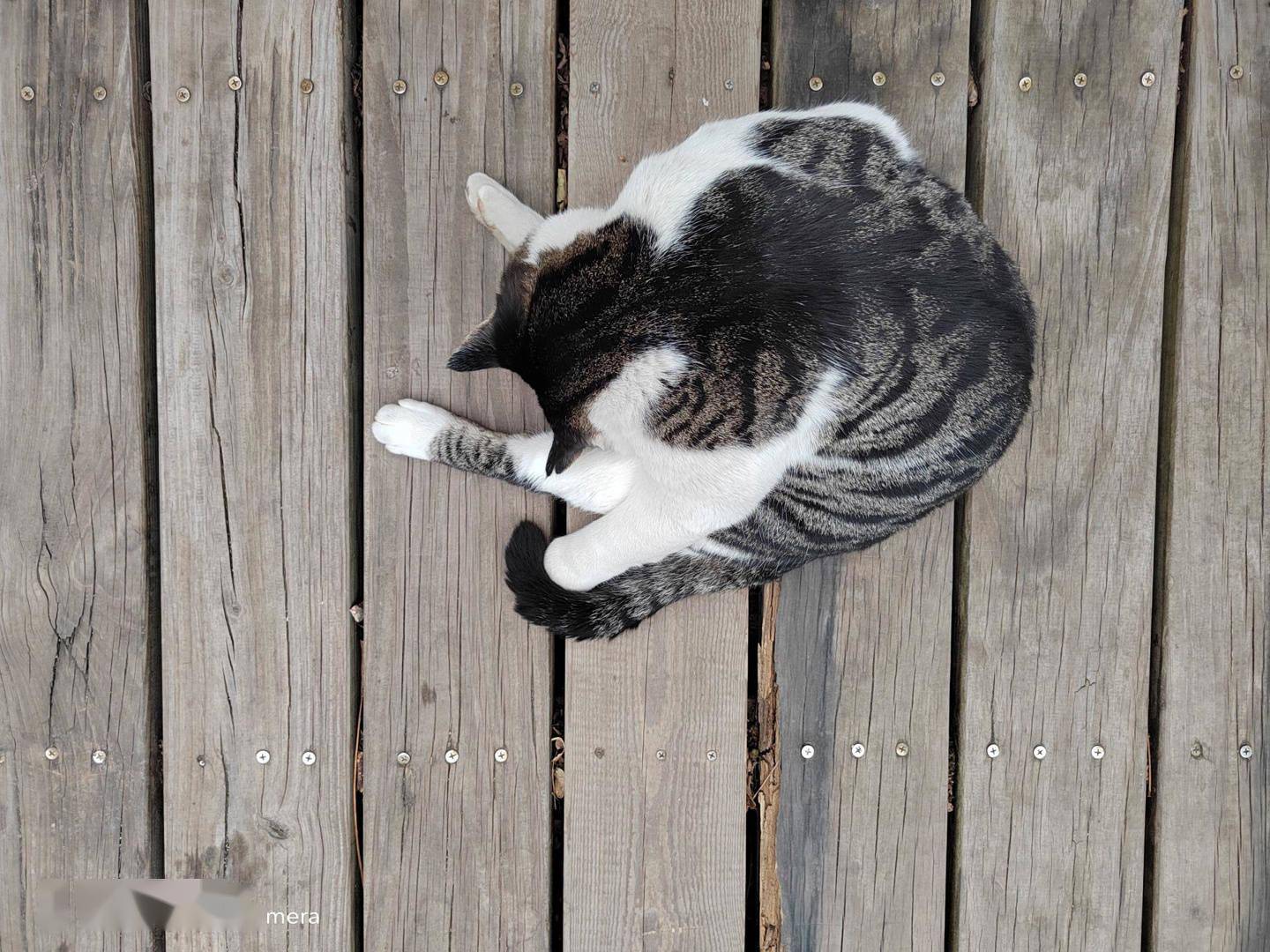 荣耀 60 Pro 首发评测：美学基因浓厚，影像体验进阶