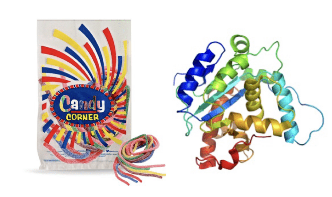 促成三级结构的 r groups 相互作用包括氢键(hydrogen bonds),离子键