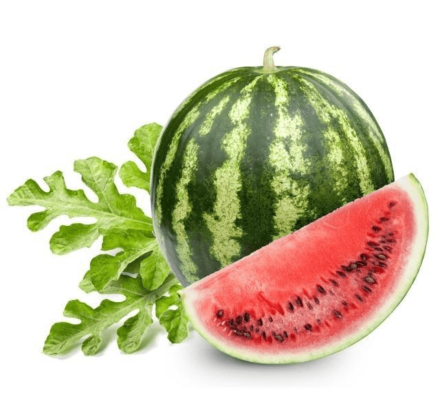 53dbc4c898db42d79635d0f781861e11.png