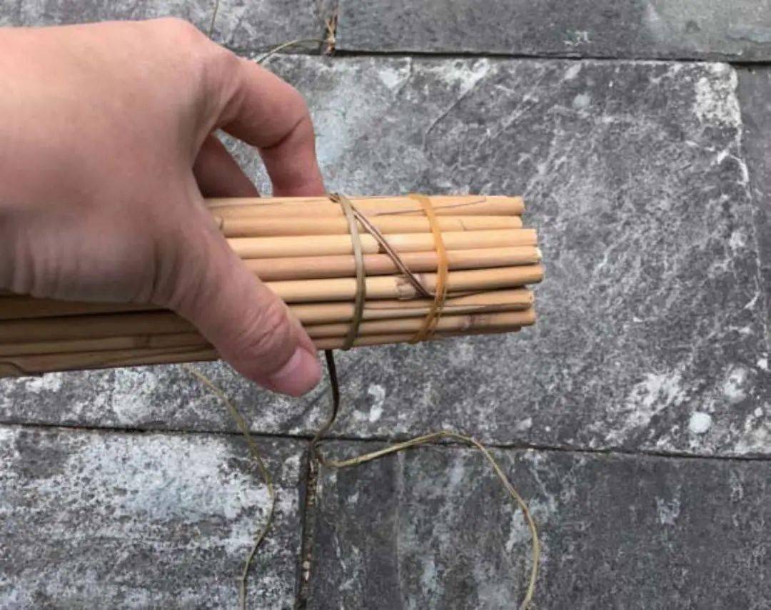 台友_步骤_芦苇